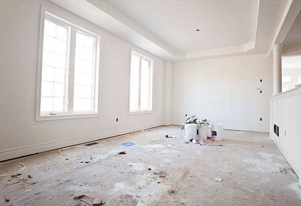 Best Emergency Mold Remediation  in Eastport, ME